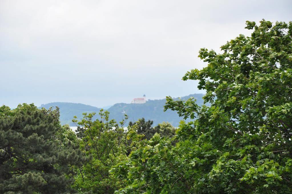 Villa Muzsa Deluxe Balatonfured Luaran gambar